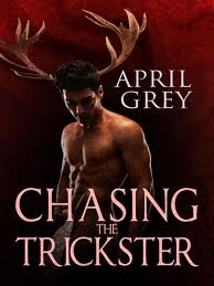 Chasing the Trickster god book