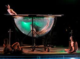 Cirque Du Soleil Beatles Love show mermaid in a pod