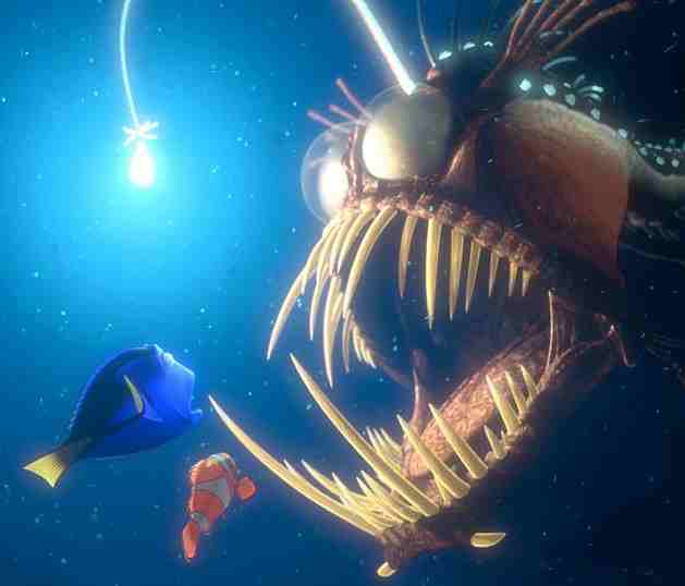 Finding Nemo