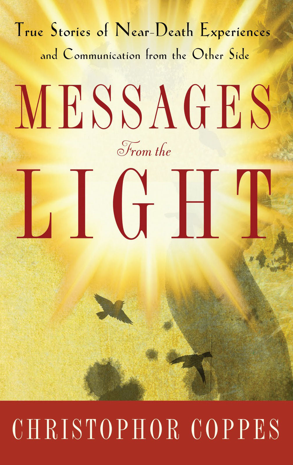 Messages From The Light book