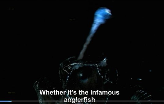 Уэйн Буш - ОБМАН СВЕТА: СВЕТОВАЯ И ТУННЕЛЬНАЯ ЛОВУШКА (Полный перевод) Creatures-of-light-anglerfish