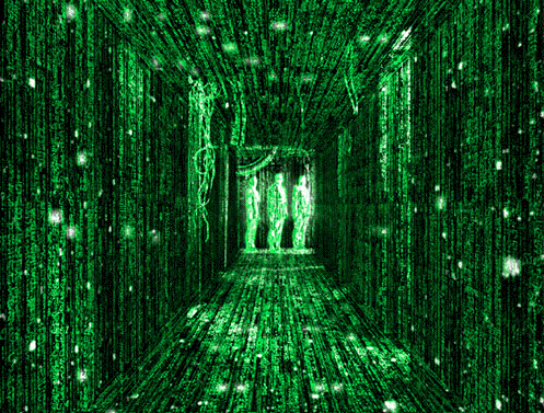 The Matrix Holographic Universe
